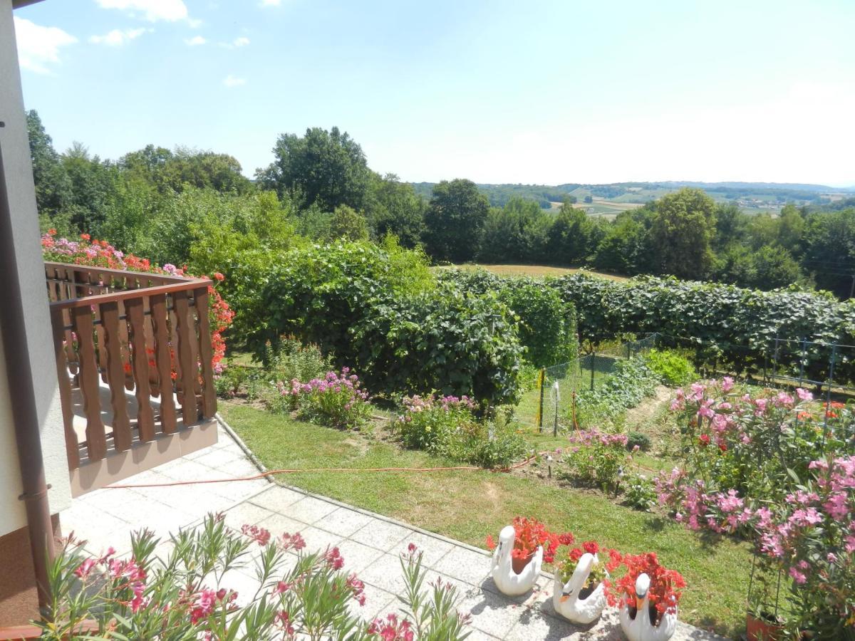 Urlaub Fuer Die Seele - Erholung Pur In Der Natur - Ferienhaus Mit Infrarotkabine & Relax-Raum Rucmanci Buitenkant foto